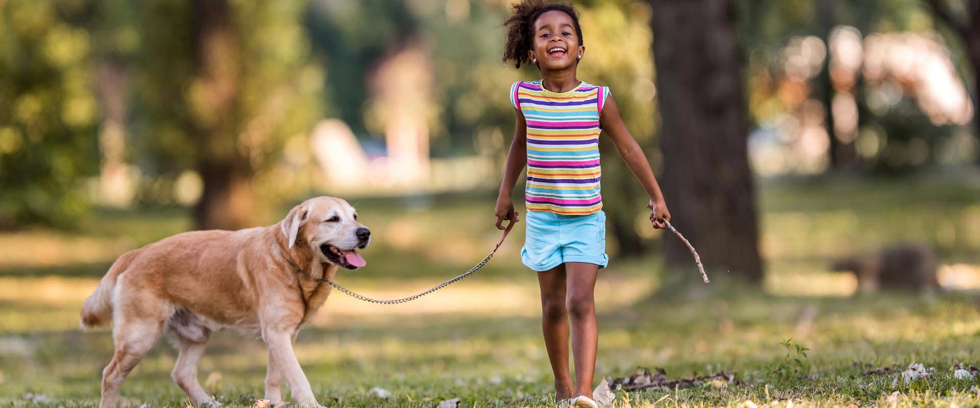 Will i take the children. Ребенок выгуливает собаку. Девушка выгуливает собаку. Собака картинка для детей. Мальчик выгуливает собаку.