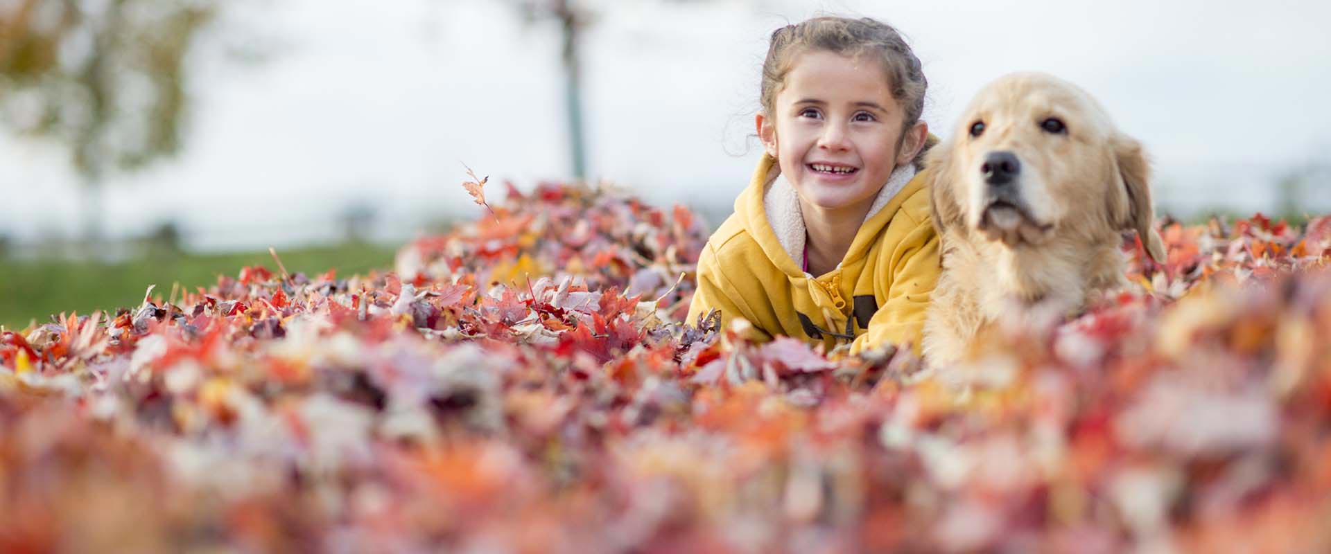 Conejo Valley Unified School District Calendar 2024 And 2025