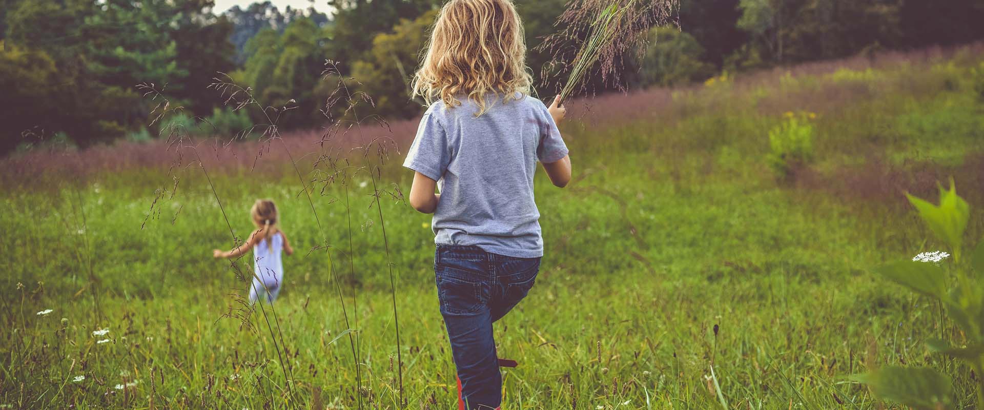 Spring Creek Independent School District Calendar 2022 And 2023 