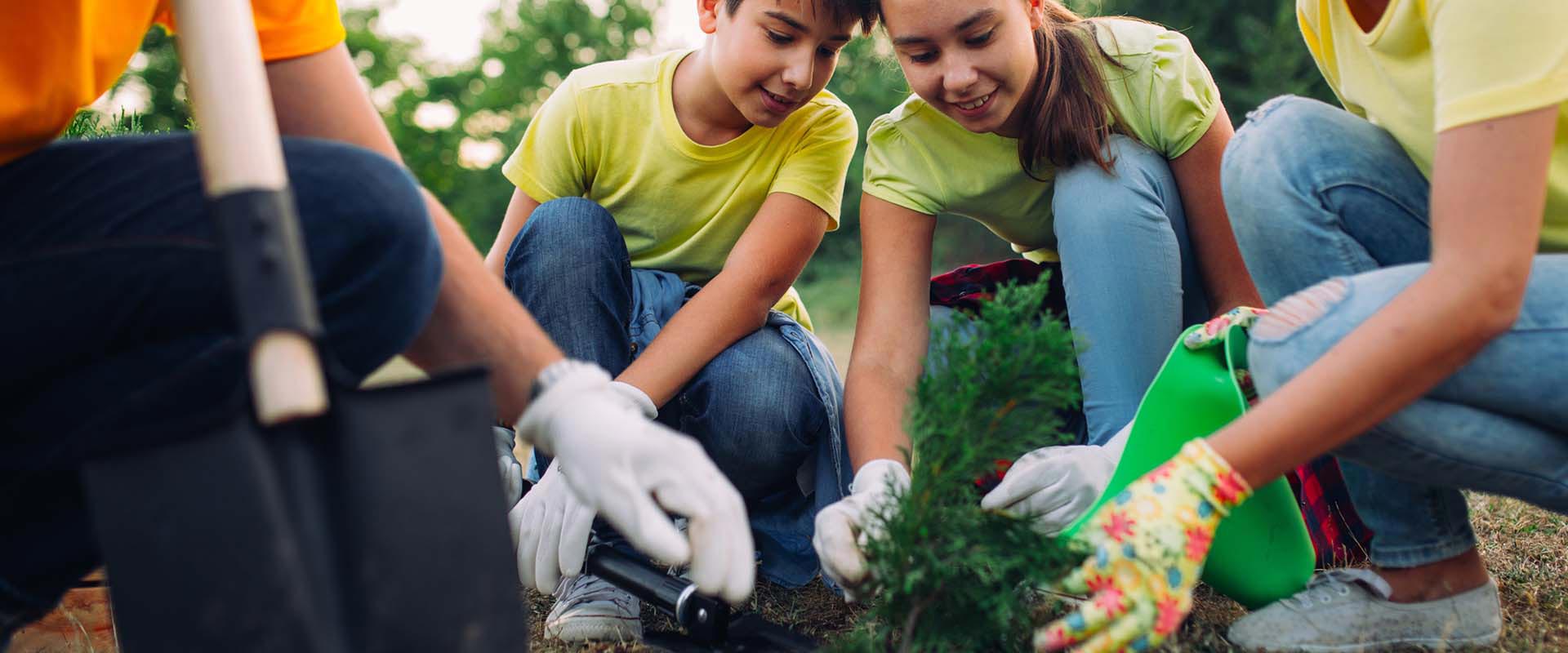 Ryegate Public School Calendar 2024