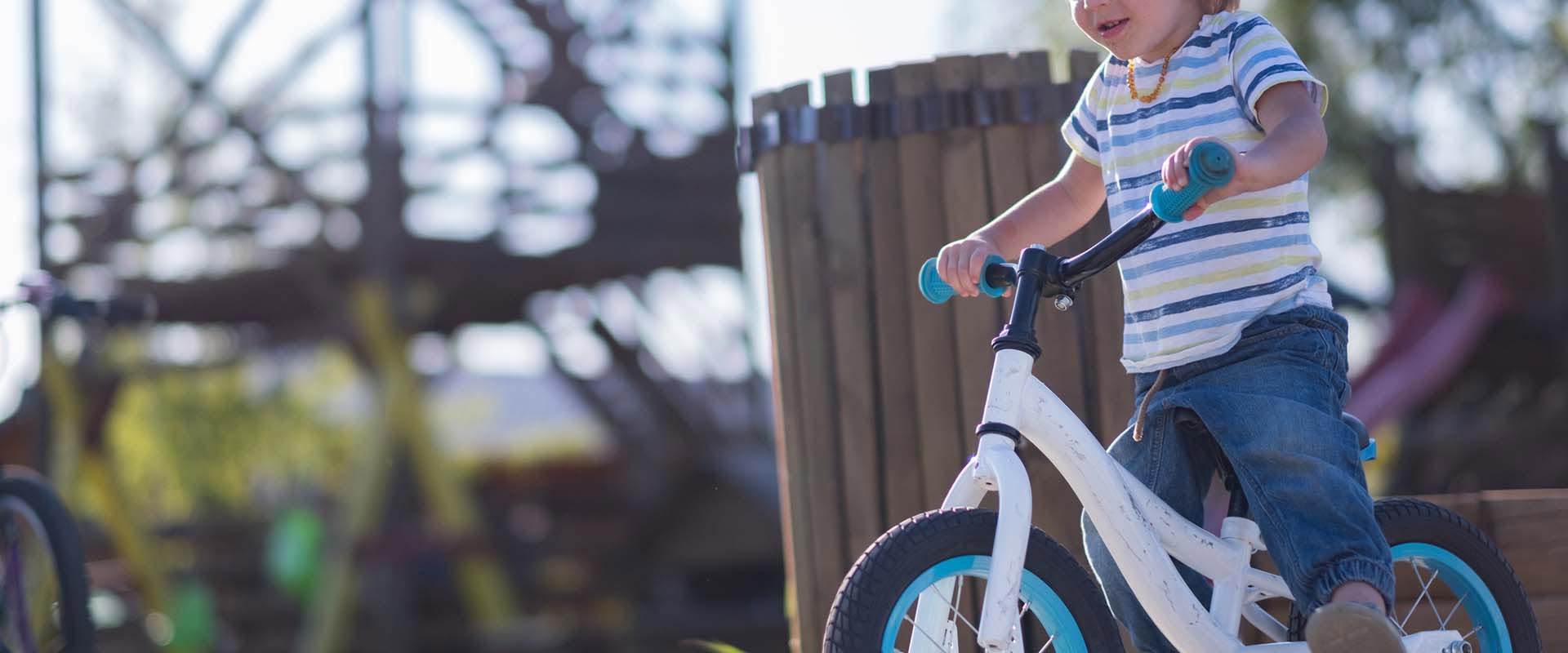 Chaplin Public Schools Calendar 2024