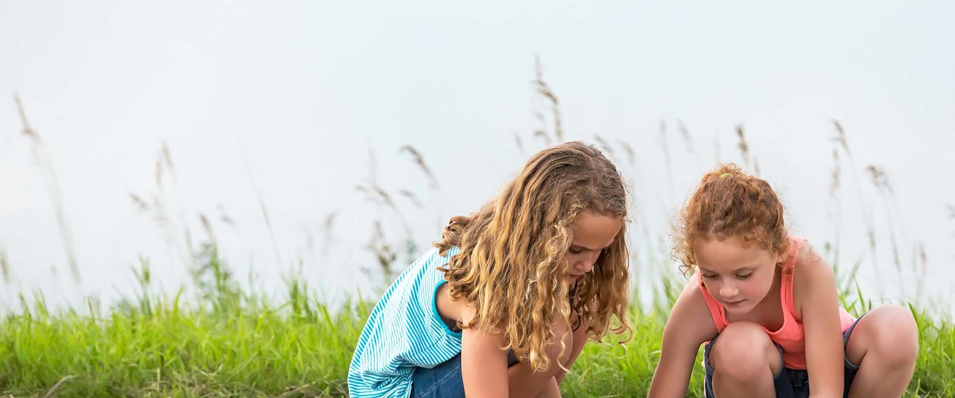 Pierz Public Schools Calendar 2024 and 2025