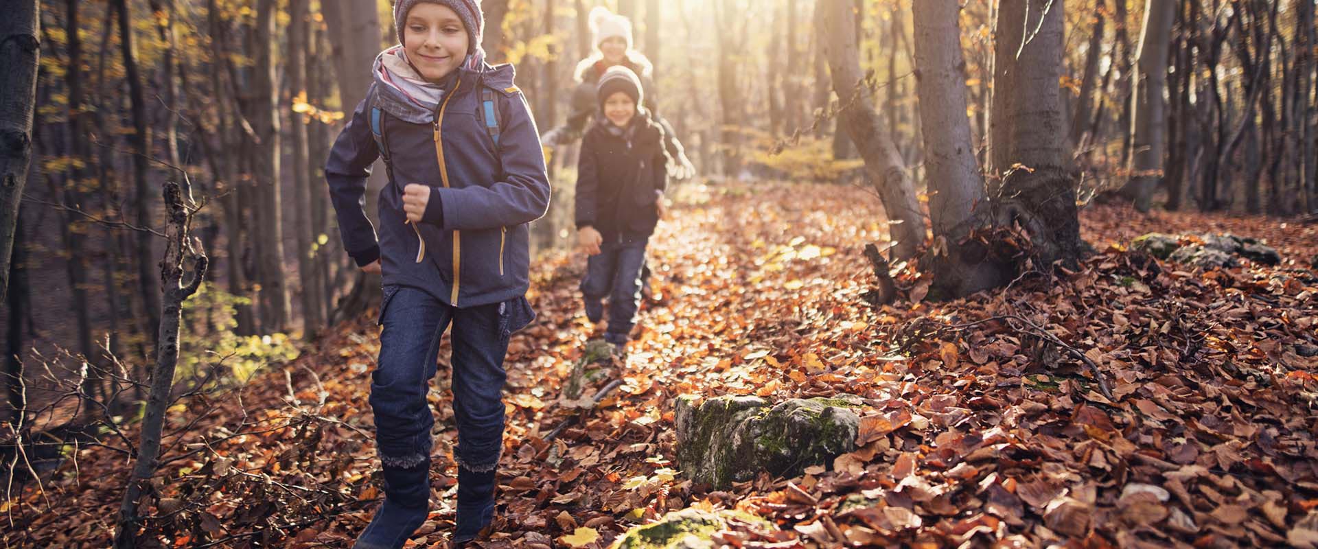 Castlewood School District Calendar 2024