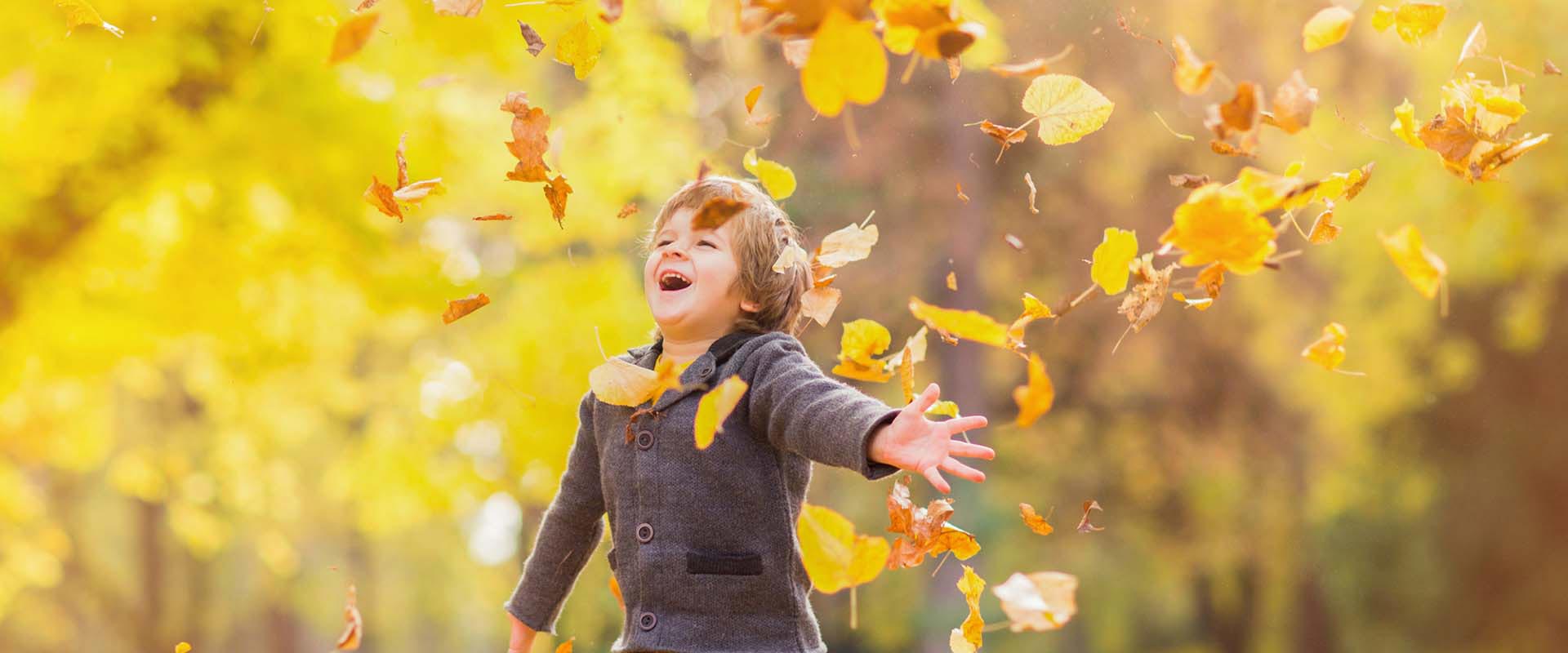 Lake Preston School District Calendar 2024