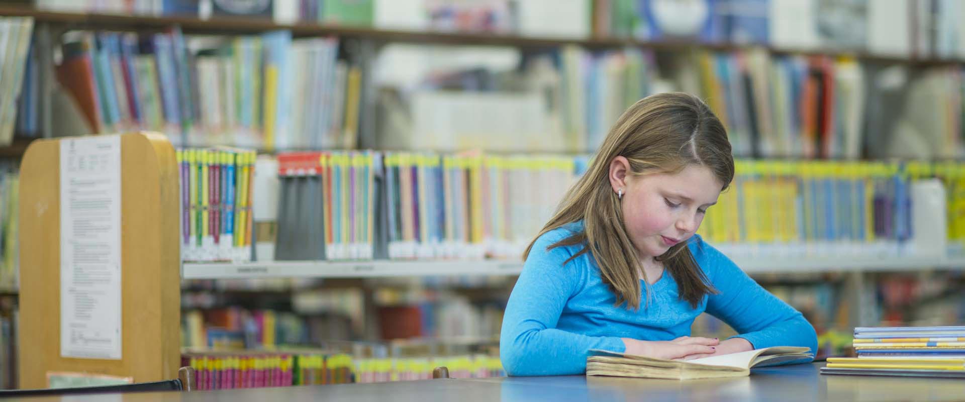 Pleasant View Elementary School District Calendar 2023 And 2024
