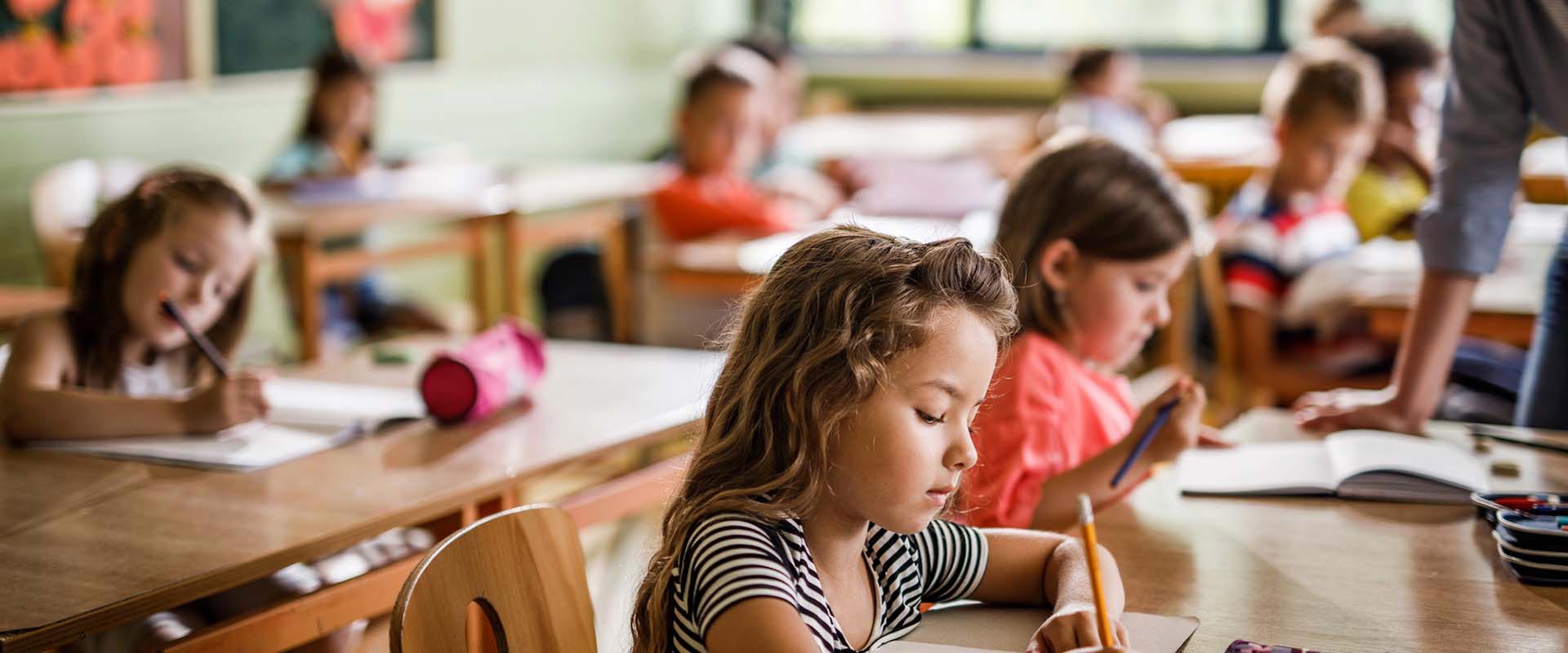 Forest Park School District 91 Calendar 2022 And 2023 PublicHolidays Forest Park School District 91 Calendar 2022 And 2023 PublicHolidays
