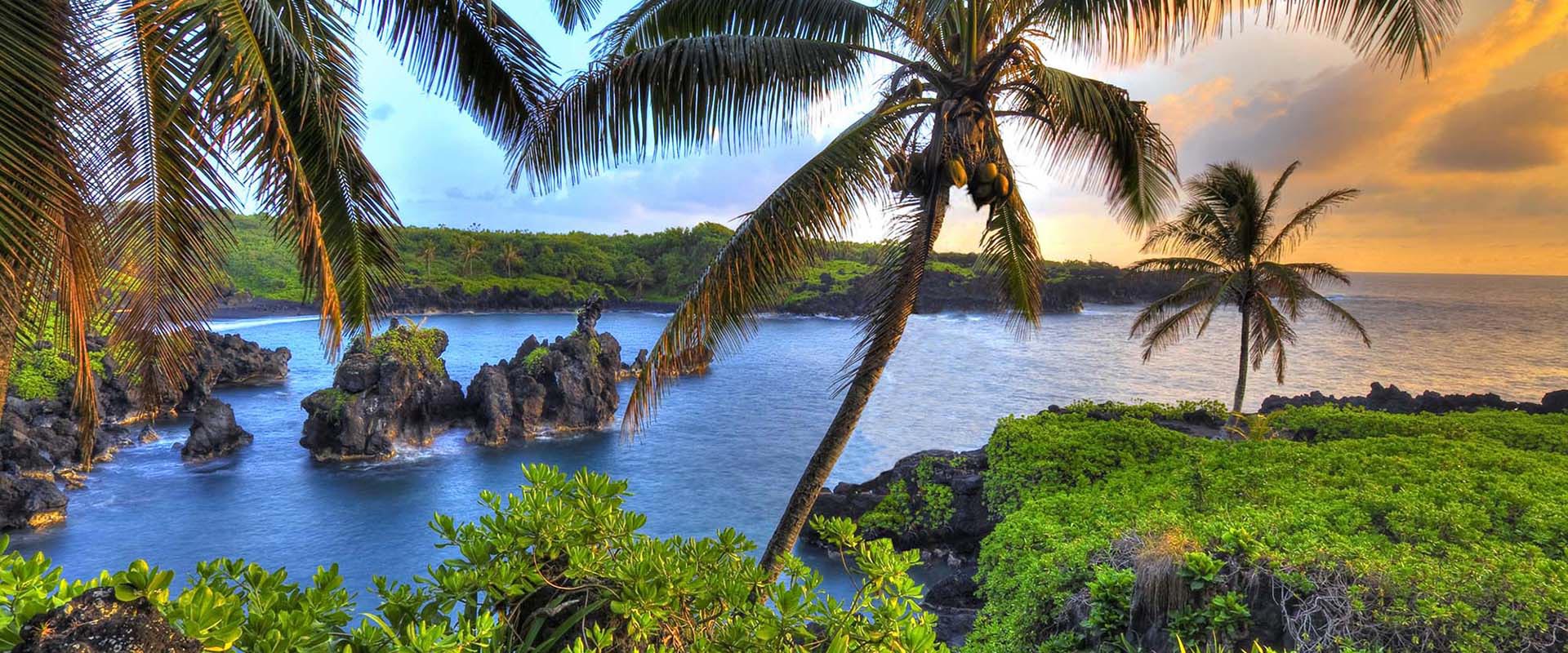 hawaii trips 2025